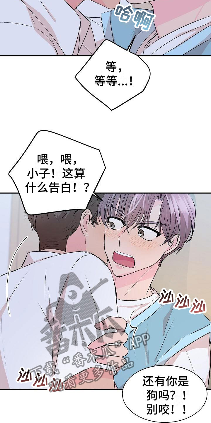 《偷心花园》第32章我的狗男孩喜欢你（完） 第20页