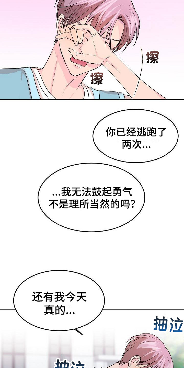 《偷心花园》第32章我的狗男孩喜欢你（完） 第3页