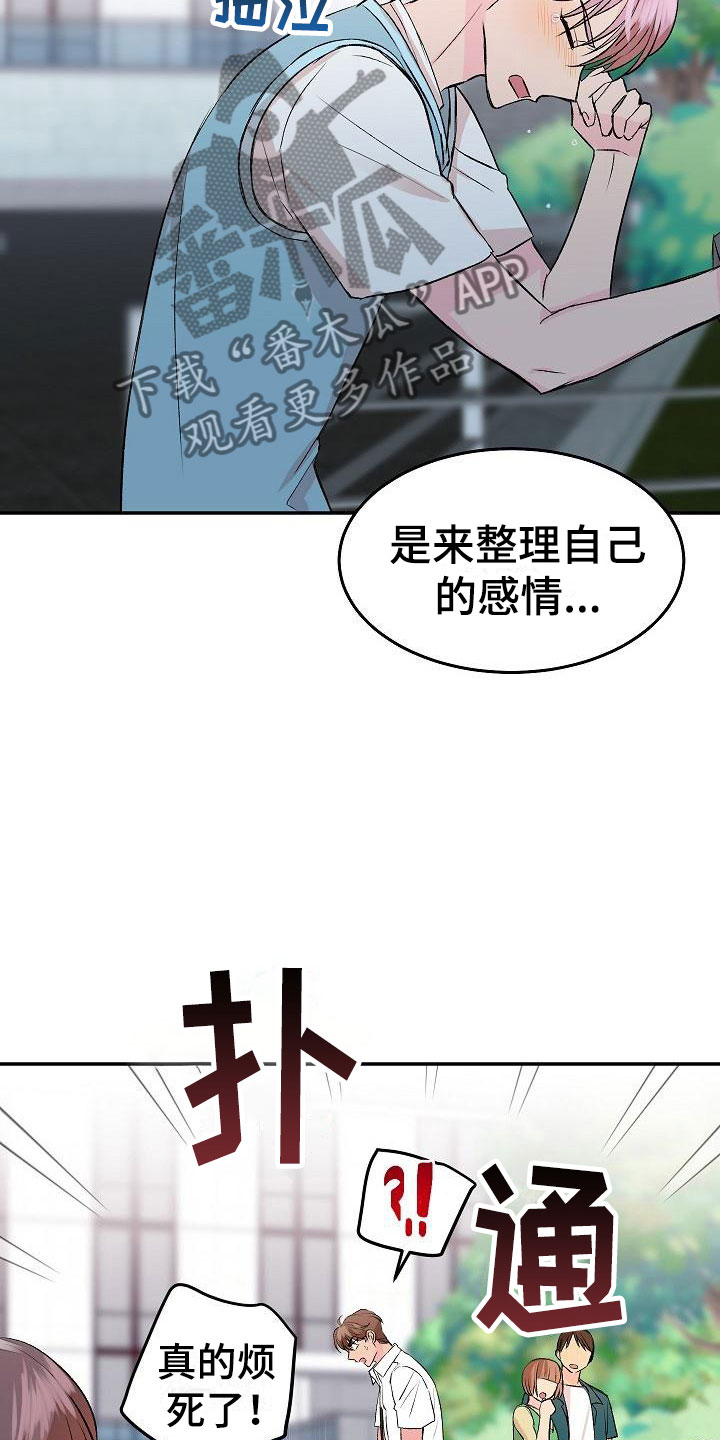 《偷心花园》第32章我的狗男孩喜欢你（完） 第4页