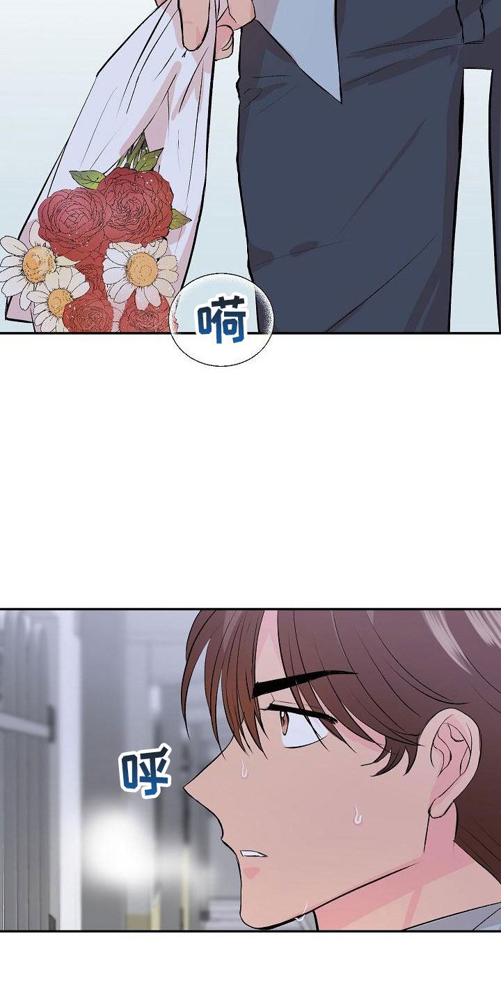 《偷心花园》第29章我的狗男孩真心 第24页