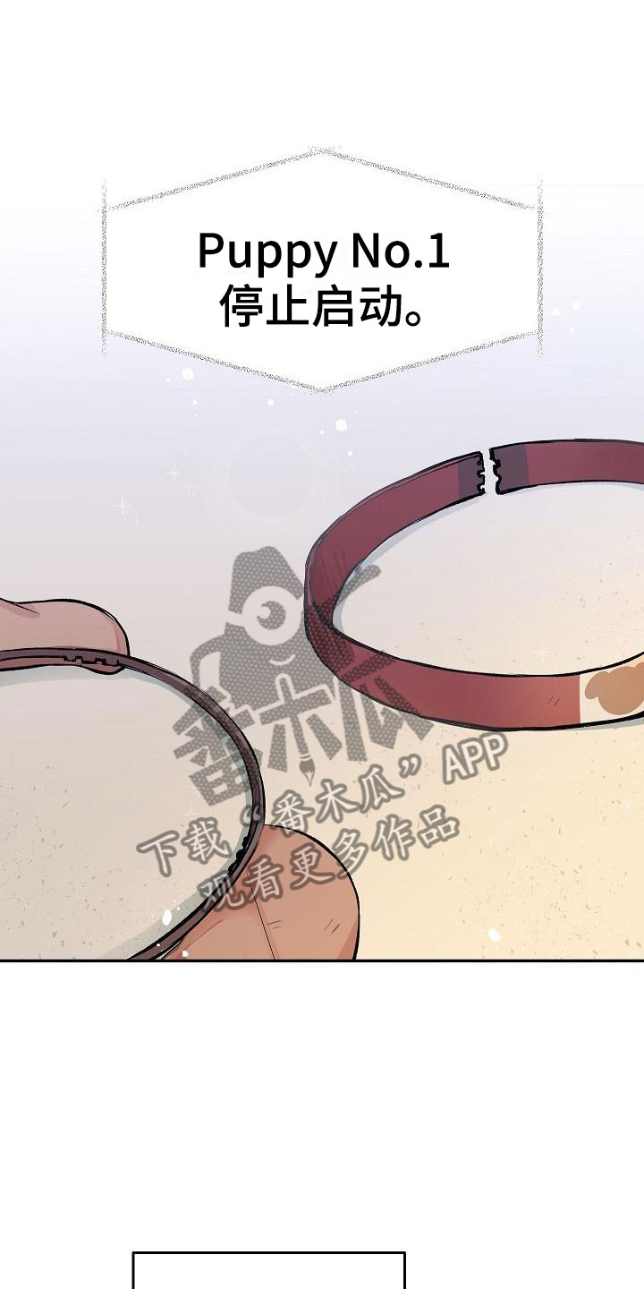 《偷心花园》第29章我的狗男孩真心 第3页