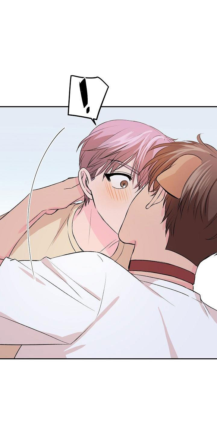 《偷心花园》第27章我的狗男孩逃跑 第10页