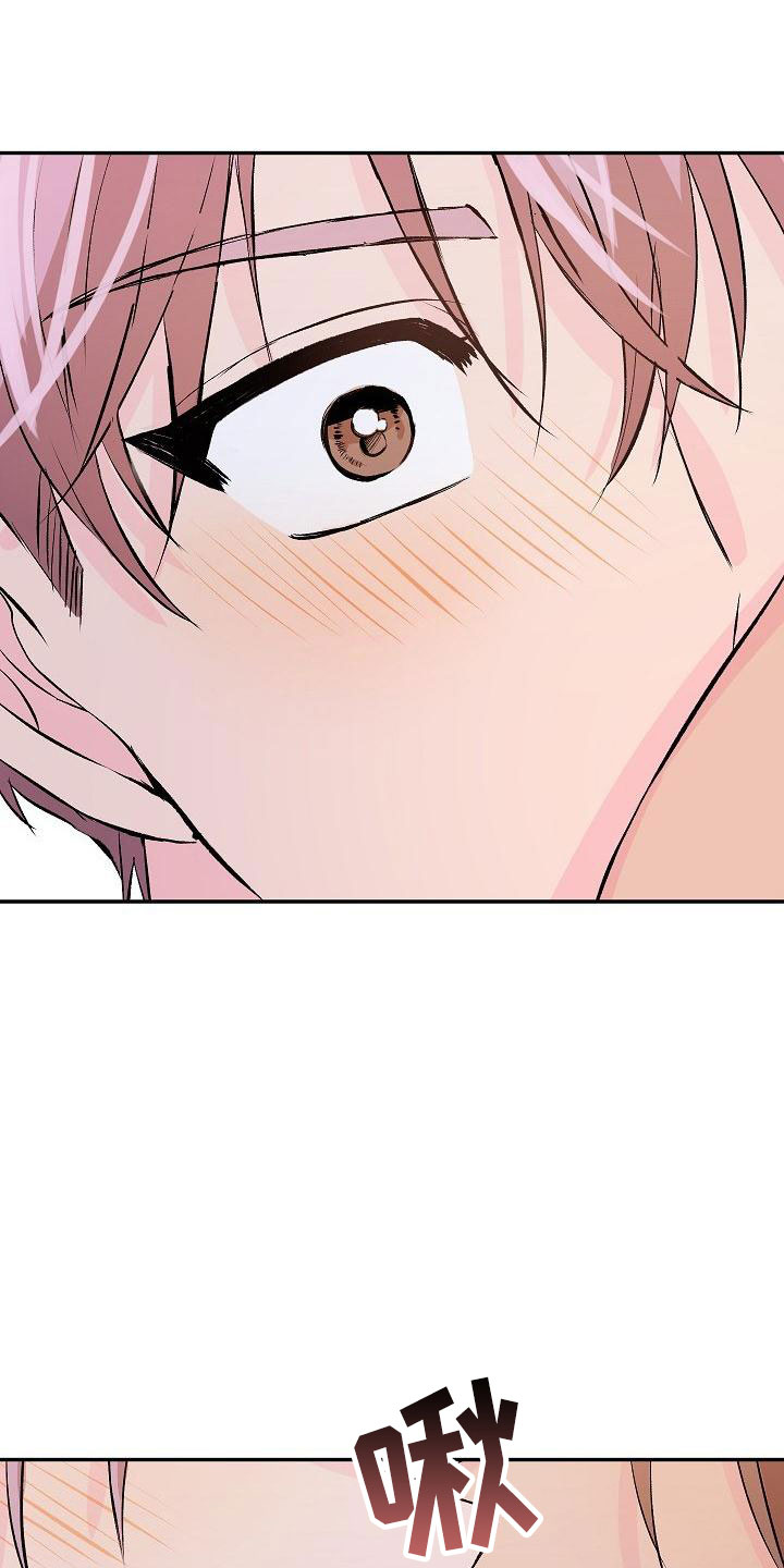 《偷心花园》第27章我的狗男孩逃跑 第11页