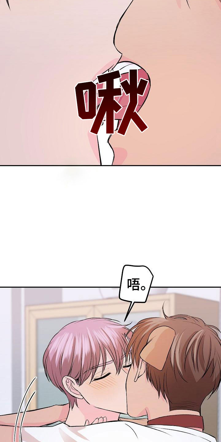 《偷心花园》第27章我的狗男孩逃跑 第12页