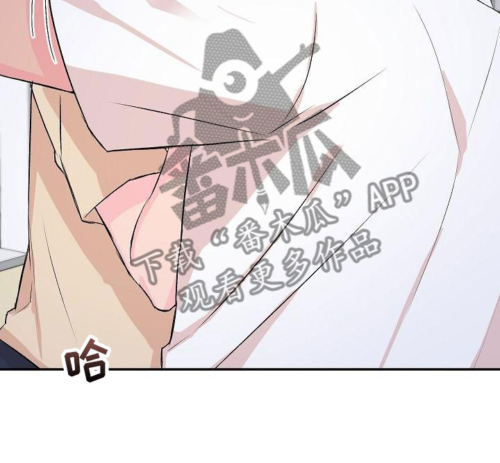《偷心花园》第27章我的狗男孩逃跑 第13页