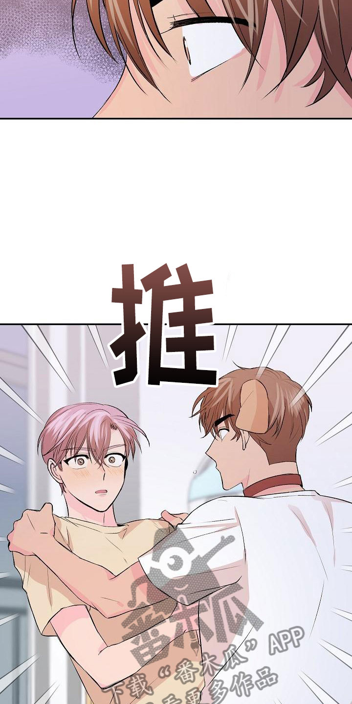 《偷心花园》第27章我的狗男孩逃跑 第15页