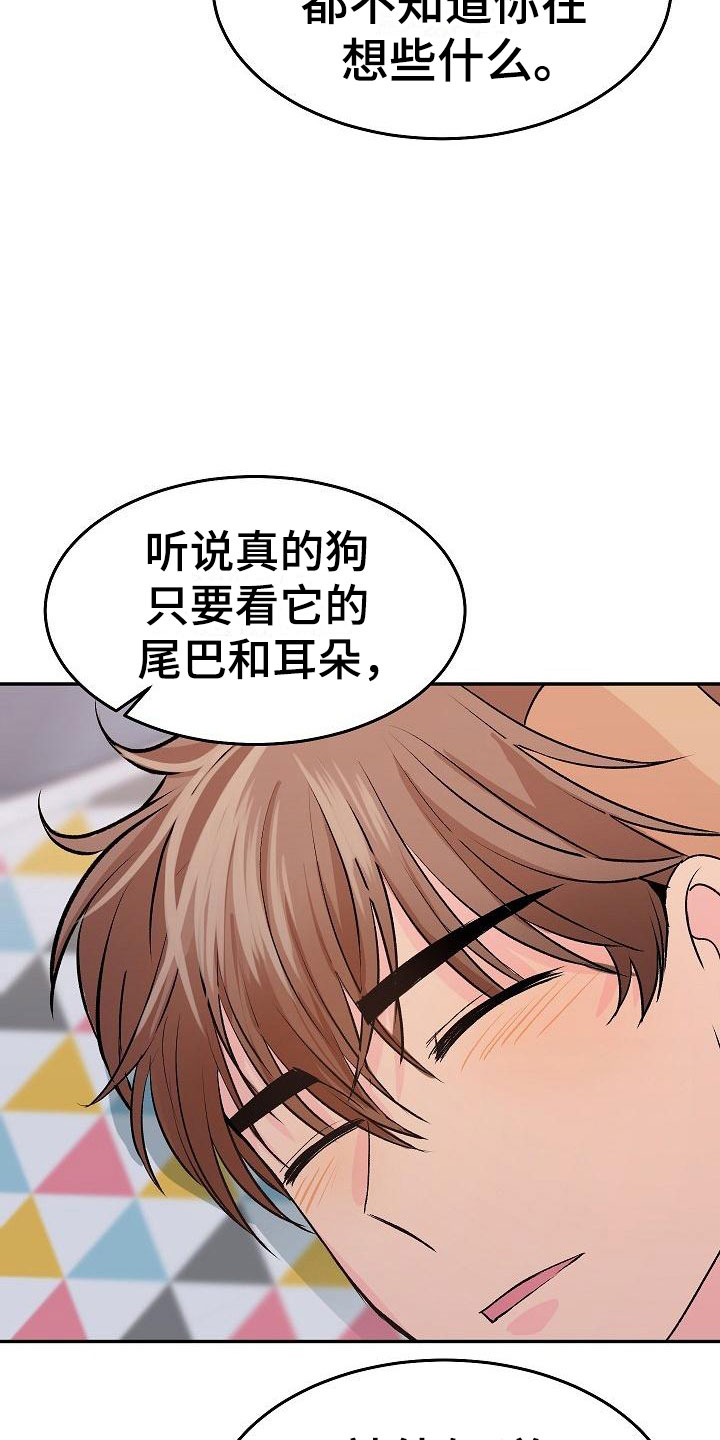 《偷心花园》第27章我的狗男孩逃跑 第5页