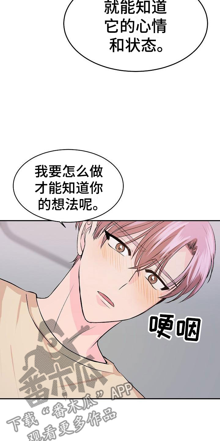 《偷心花园》第27章我的狗男孩逃跑 第6页