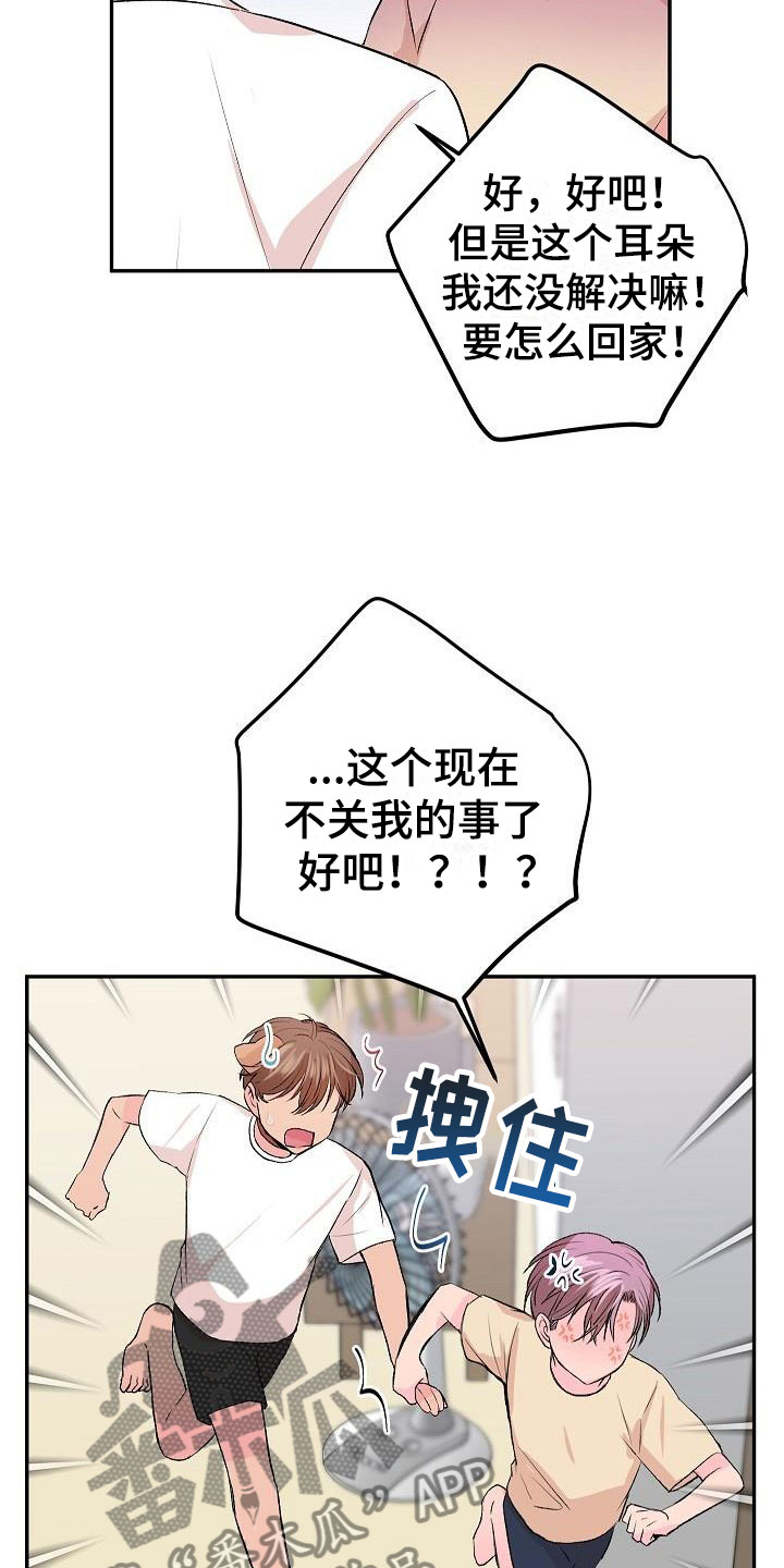 《偷心花园》第28章我的狗男孩扫地出门 第21页