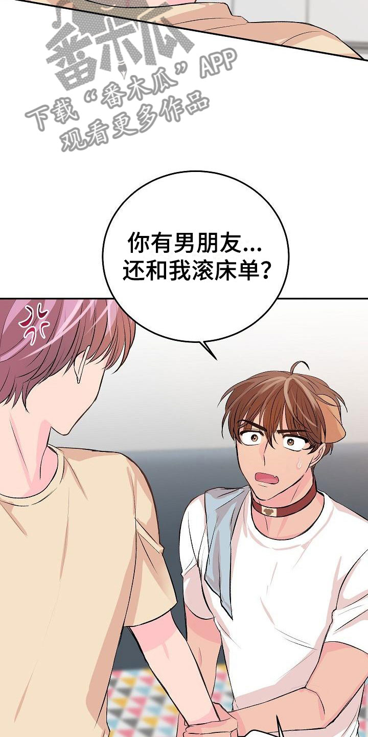 《偷心花园》第25章我的狗男孩男朋友 第19页