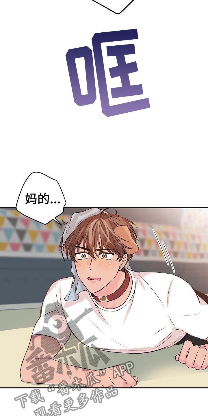 《偷心花园》第25章我的狗男孩男朋友 第21页