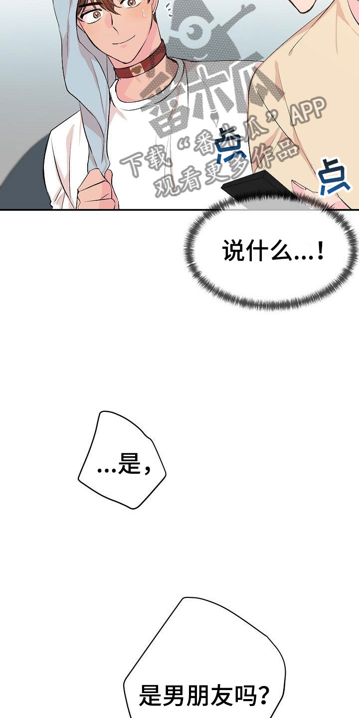 《偷心花园》第25章我的狗男孩男朋友 第4页