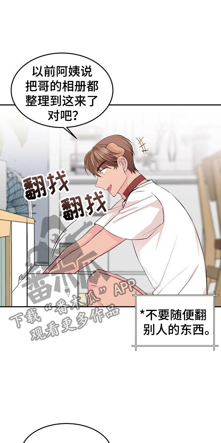 《偷心花园》第26章我的狗男孩照片 第13页