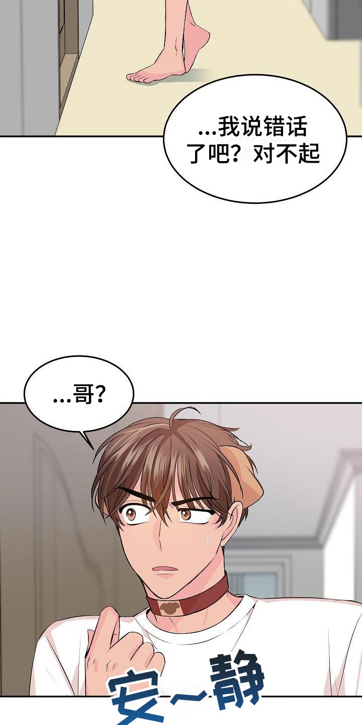 《偷心花园》第26章我的狗男孩照片 第3页