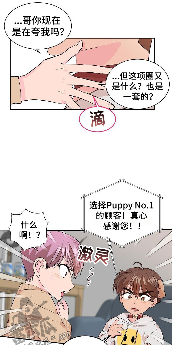 《偷心花园》第21章我的狗男孩失控 第12页