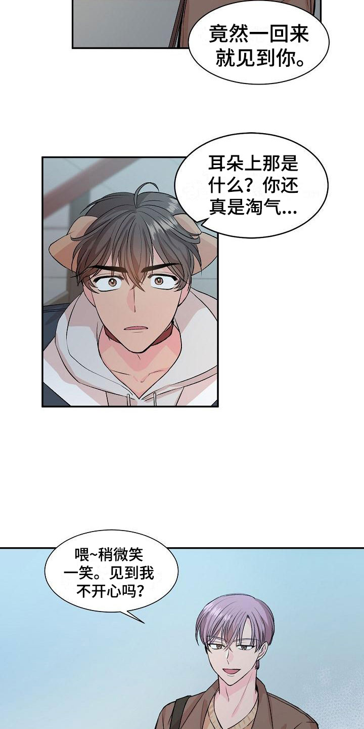 《偷心花园》第21章我的狗男孩失控 第2页