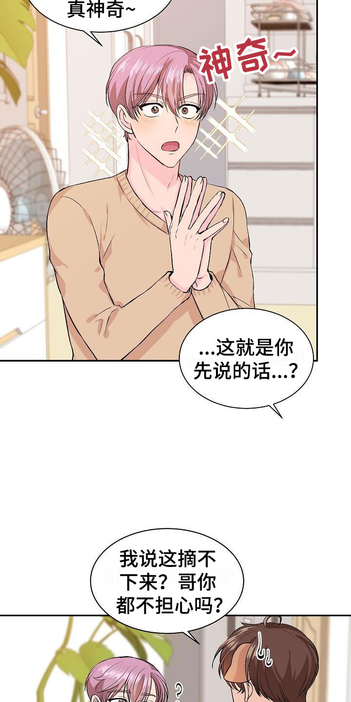 《偷心花园》第21章我的狗男孩失控 第5页