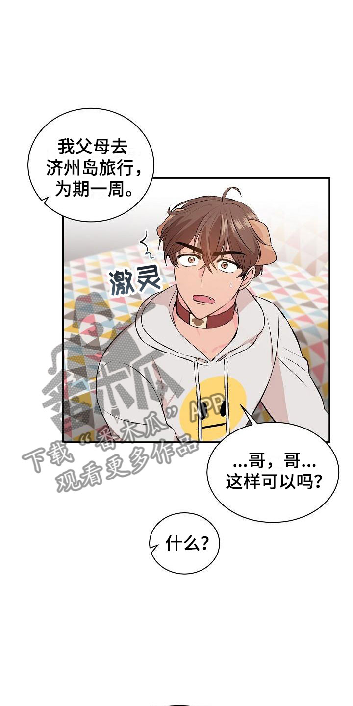 《偷心花园》第21章我的狗男孩失控 第8页