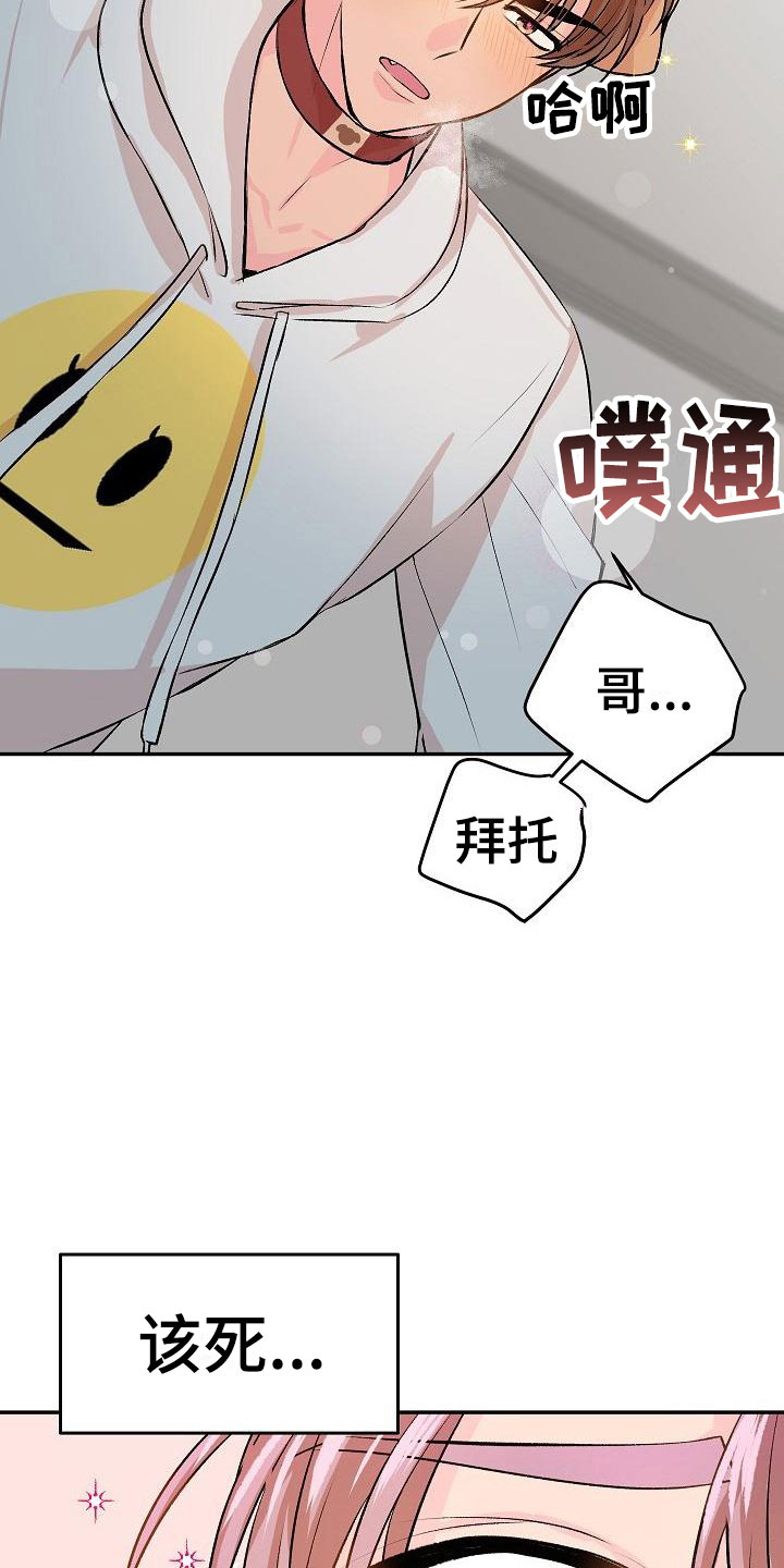 《偷心花园》第22章我的狗男孩体验 第15页