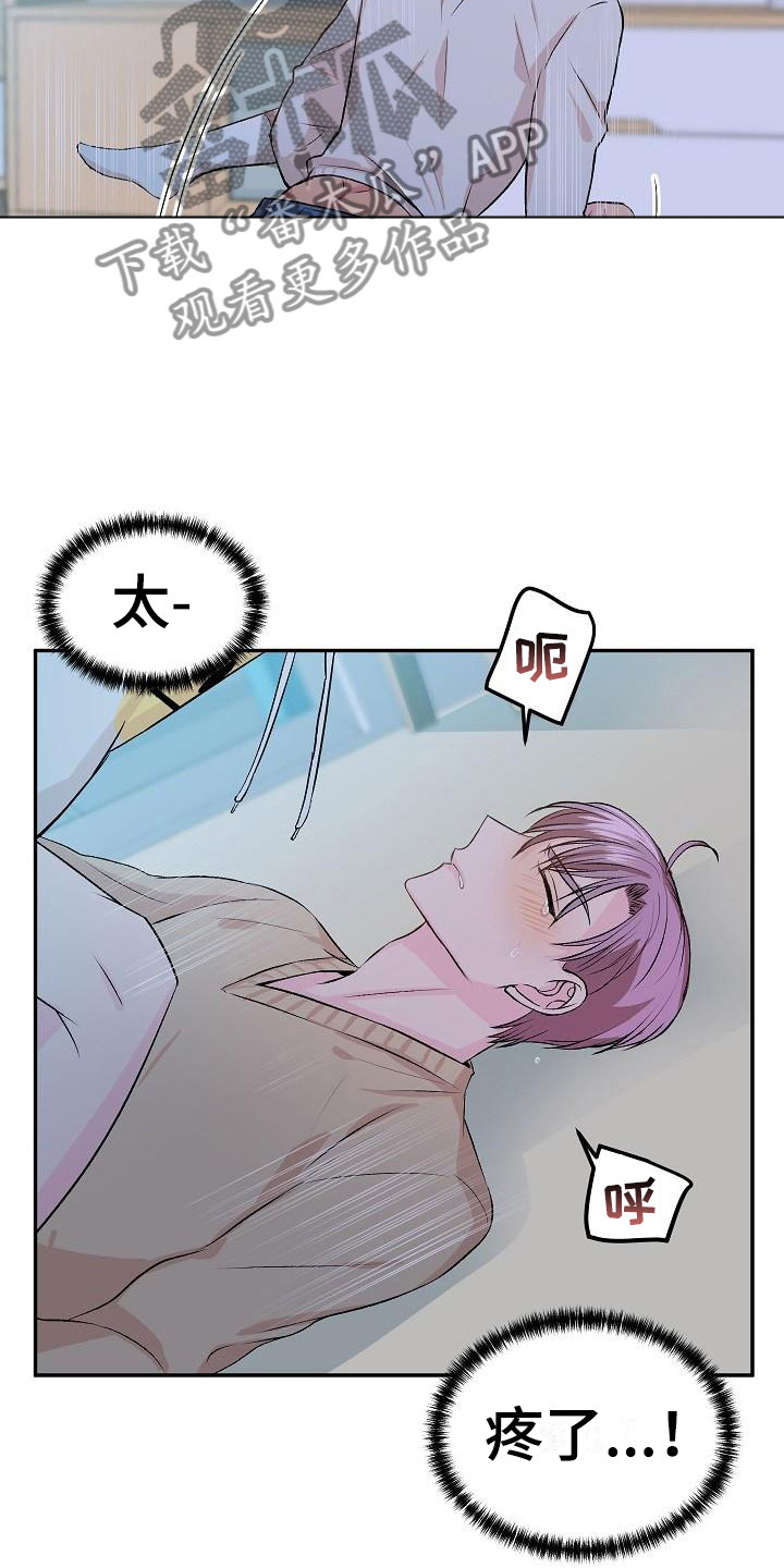 《偷心花园》第22章我的狗男孩体验 第19页