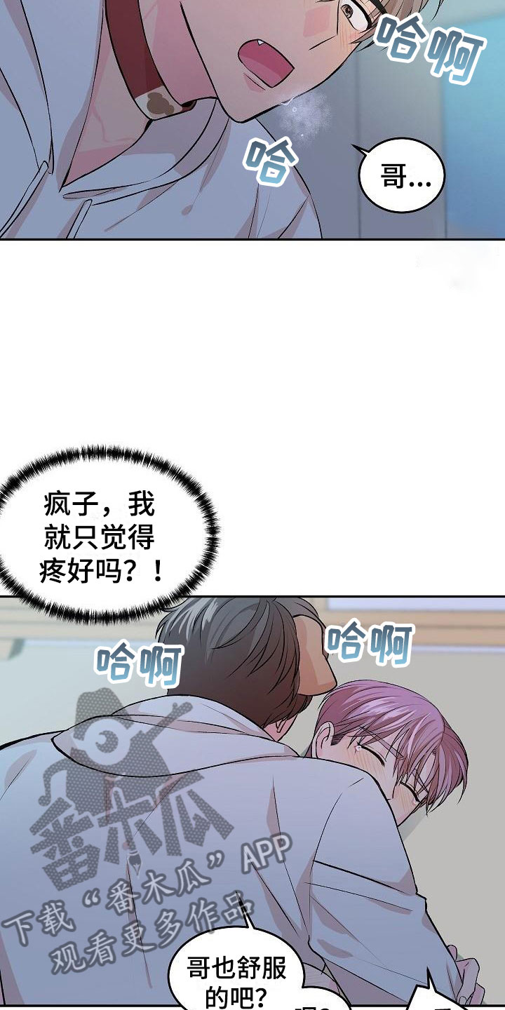 《偷心花园》第22章我的狗男孩体验 第21页