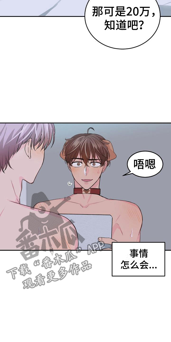 《偷心花园》第24章我的狗男孩冷漠 第11页