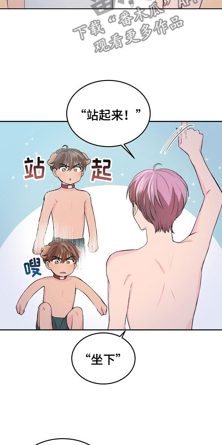 《偷心花园》第24章我的狗男孩冷漠 第20页