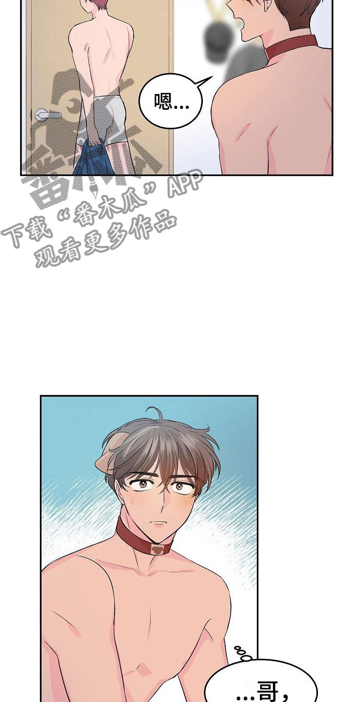 《偷心花园》第24章我的狗男孩冷漠 第22页