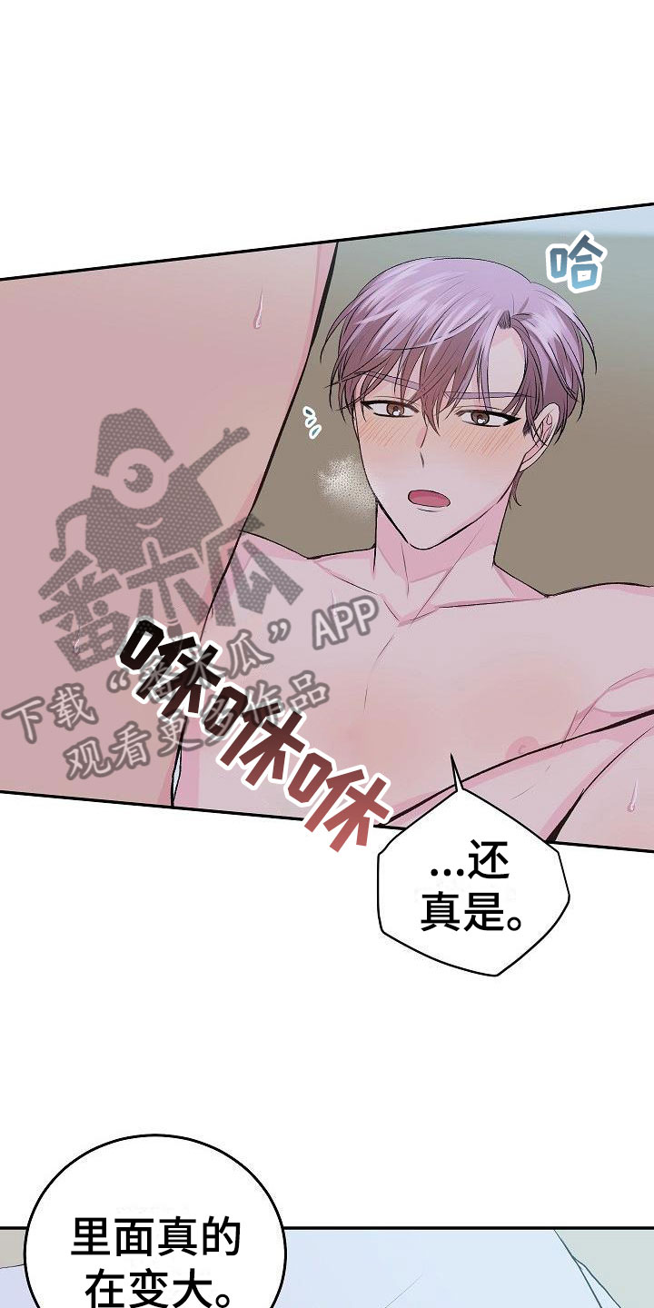 《偷心花园》第24章我的狗男孩冷漠 第3页