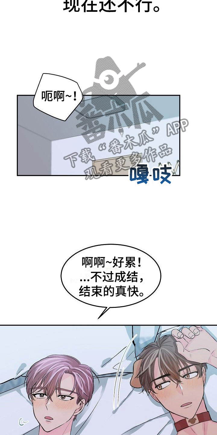 《偷心花园》第24章我的狗男孩冷漠 第6页