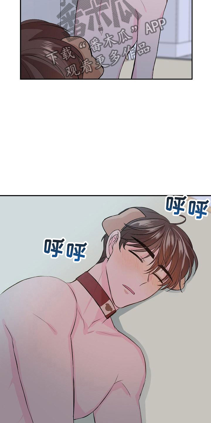 《偷心花园》第23章我的狗男孩使用说明 第16页