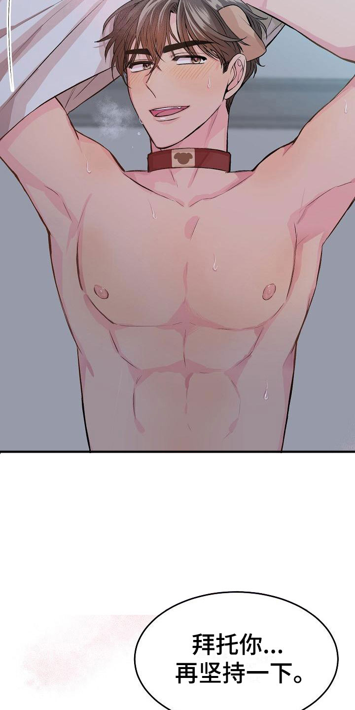 《偷心花园》第23章我的狗男孩使用说明 第7页