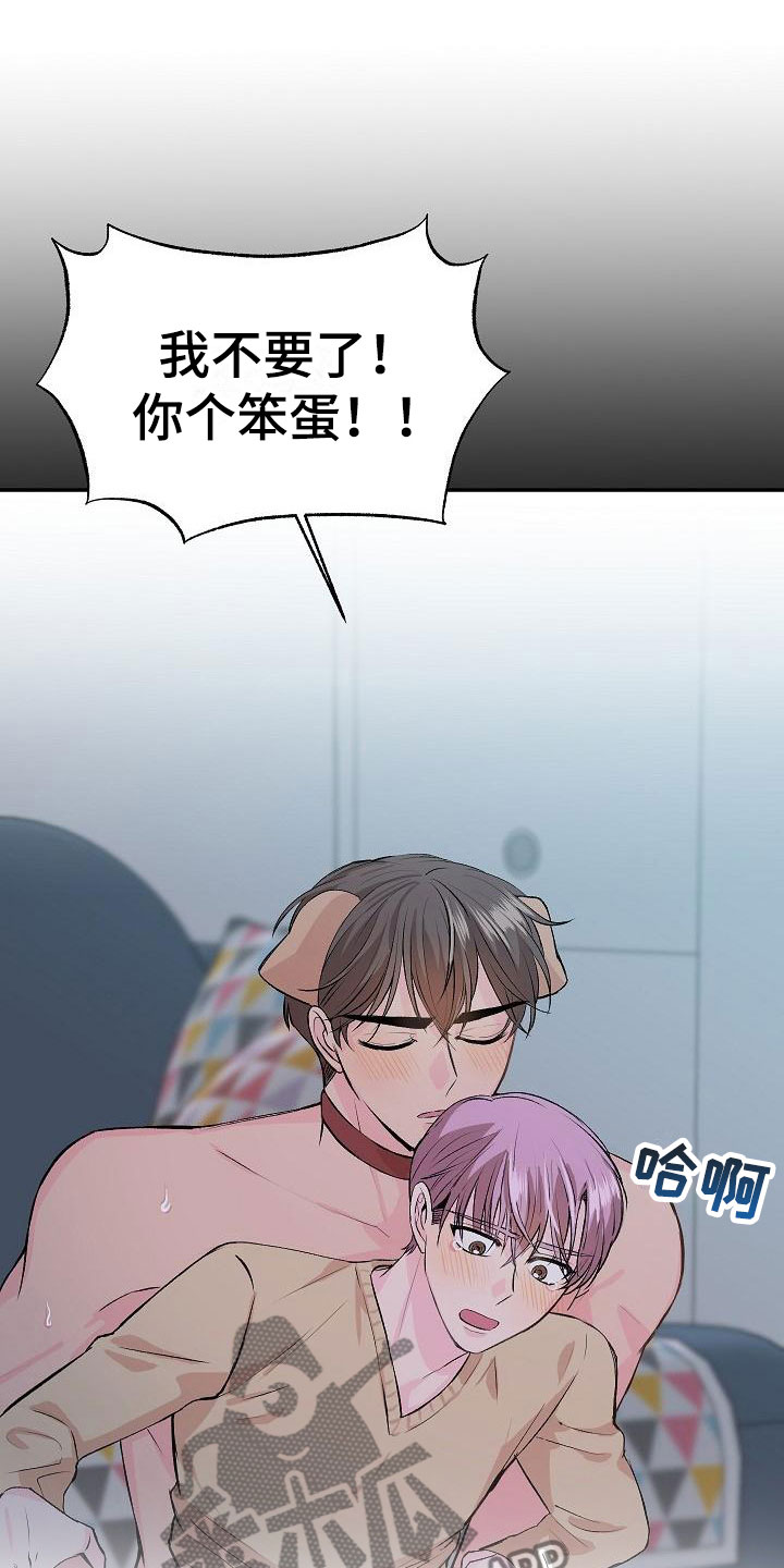 《偷心花园》第23章我的狗男孩使用说明 第9页