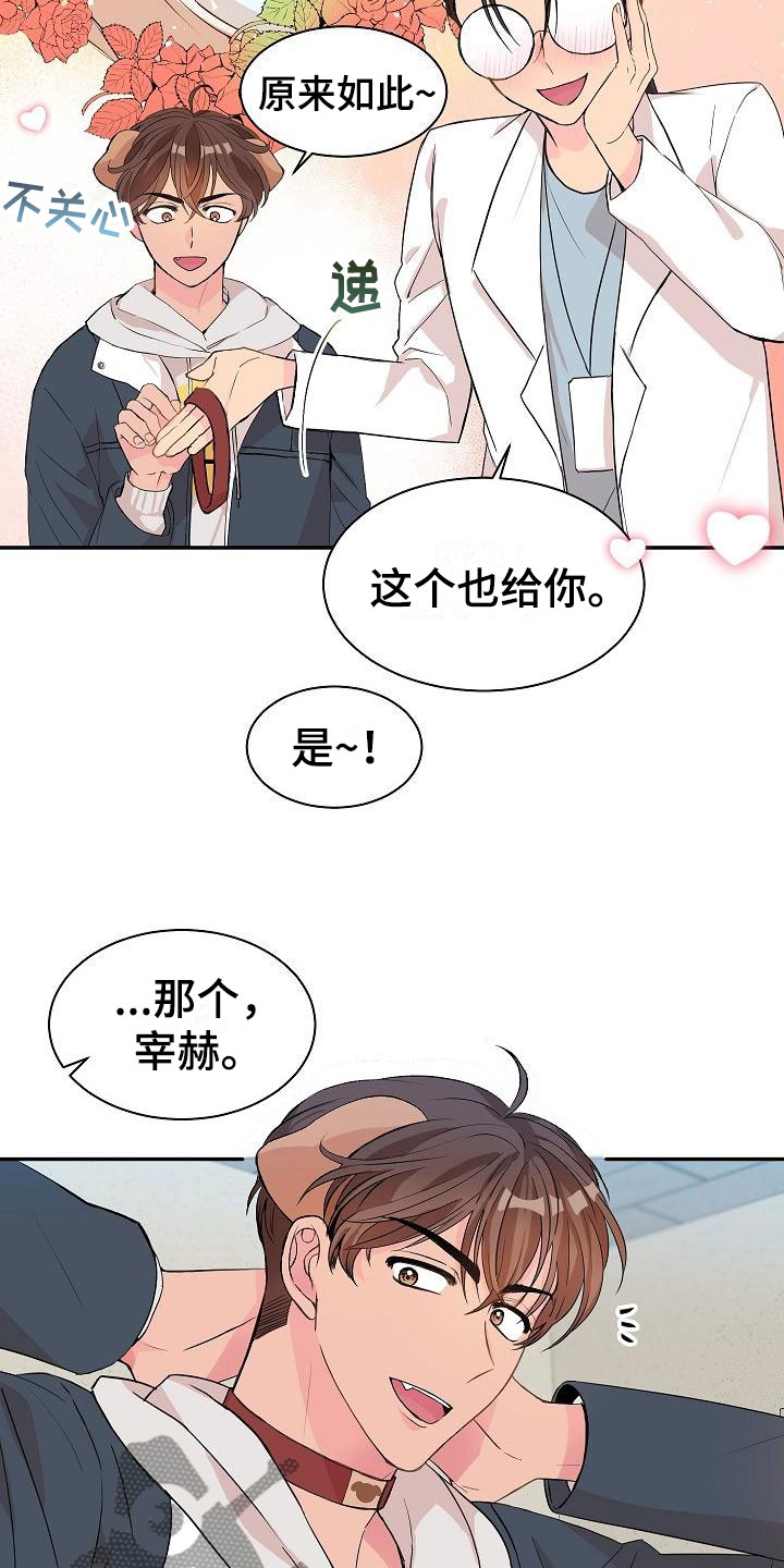 《偷心花园》第20章我的狗男孩产品试用 第12页