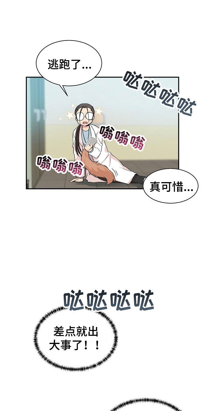 《偷心花园》第20章我的狗男孩产品试用 第17页