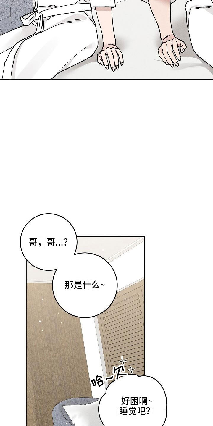 《偷心花园》第19章你偷走了我的心希望（完） 第24页