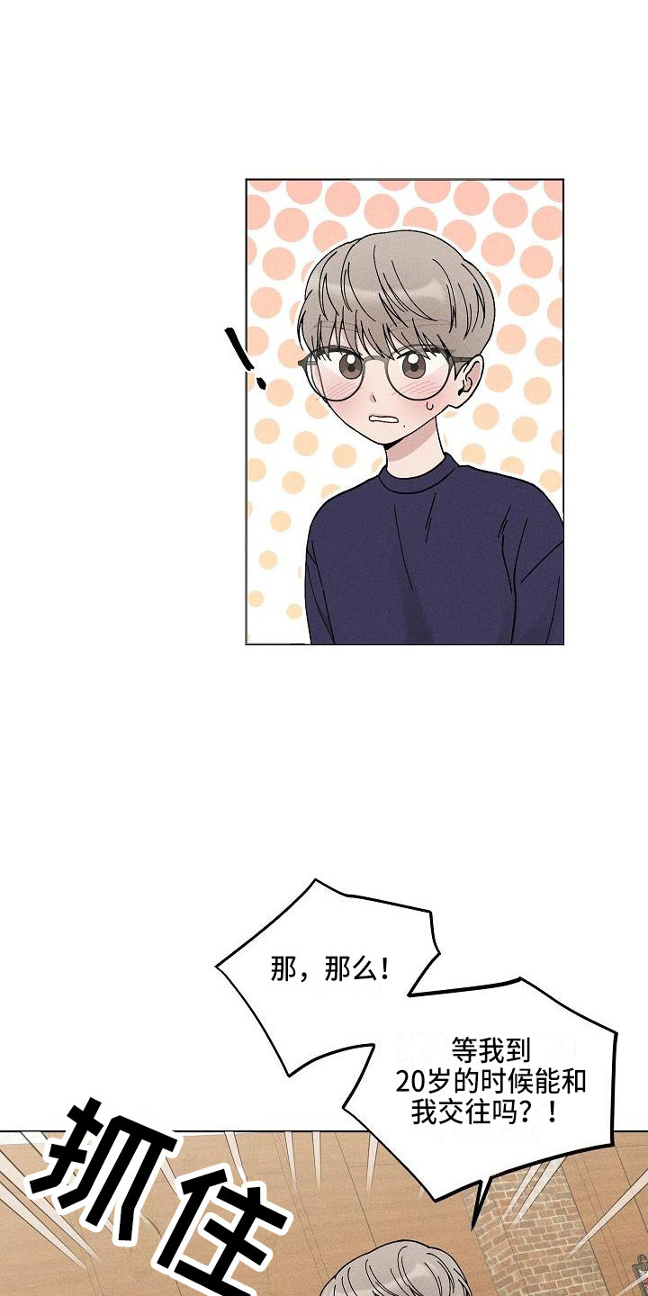 《偷心花园》第15章你偷走了我的心玩具 第12页