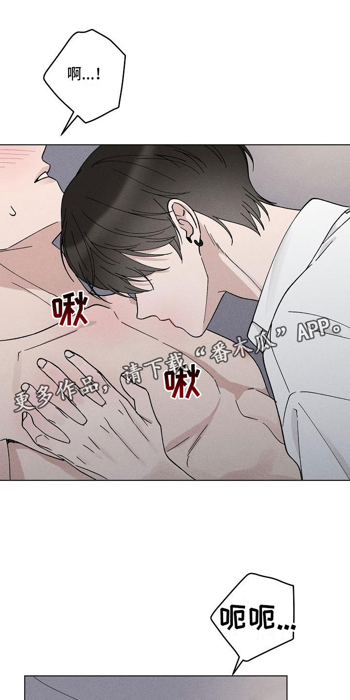 《偷心花园》第18章你偷走了我的心回避 第1页