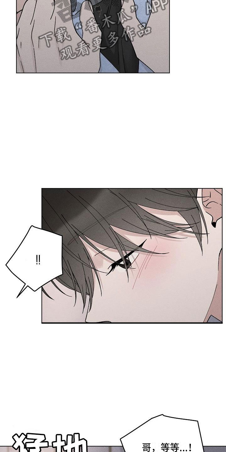 《偷心花园》第18章你偷走了我的心回避 第3页