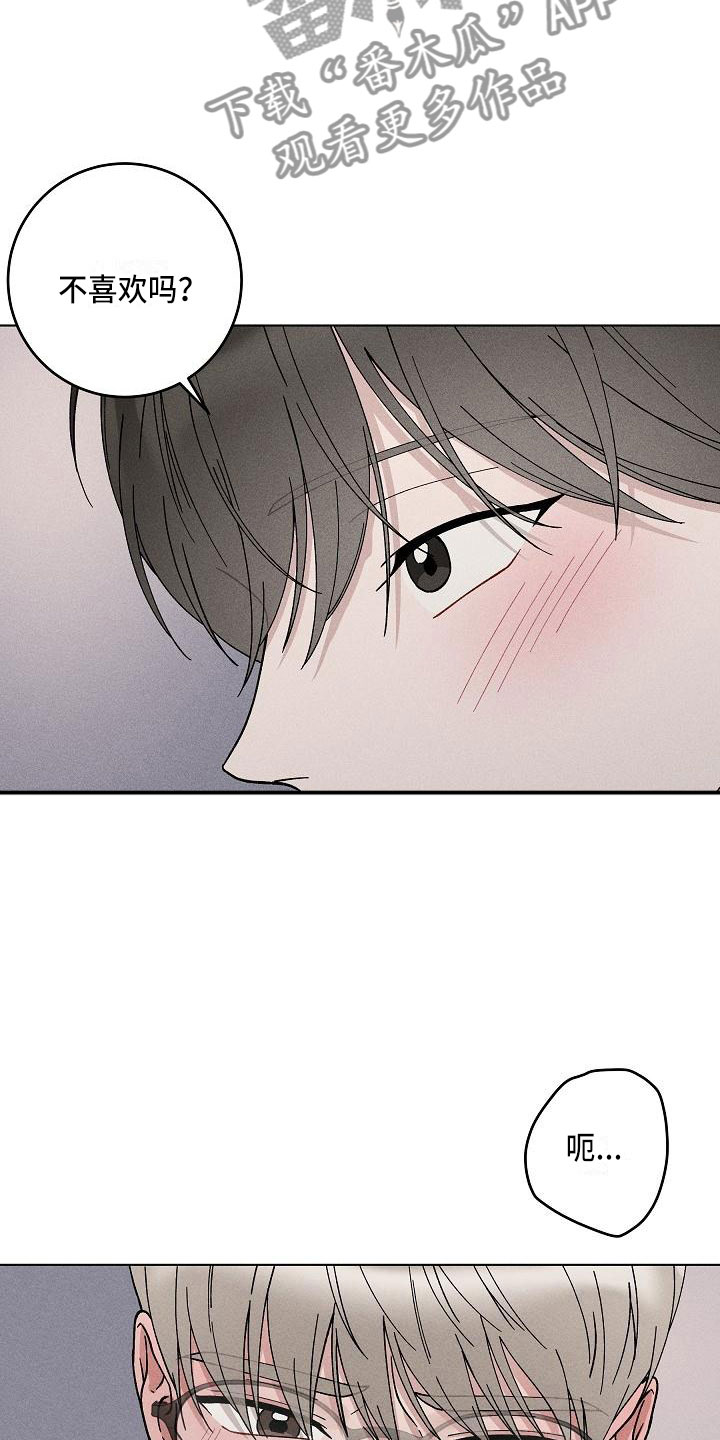 《偷心花园》第18章你偷走了我的心回避 第5页