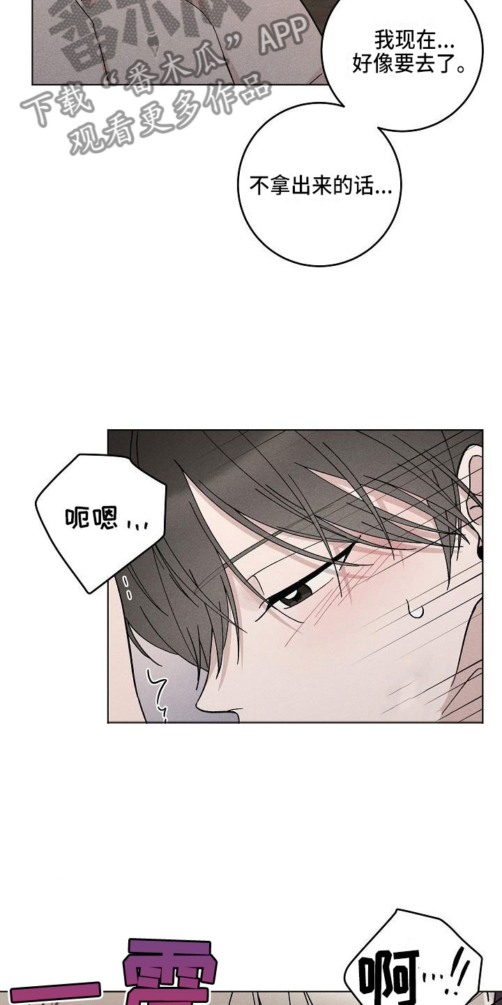 《偷心花园》第18章你偷走了我的心回避 第9页