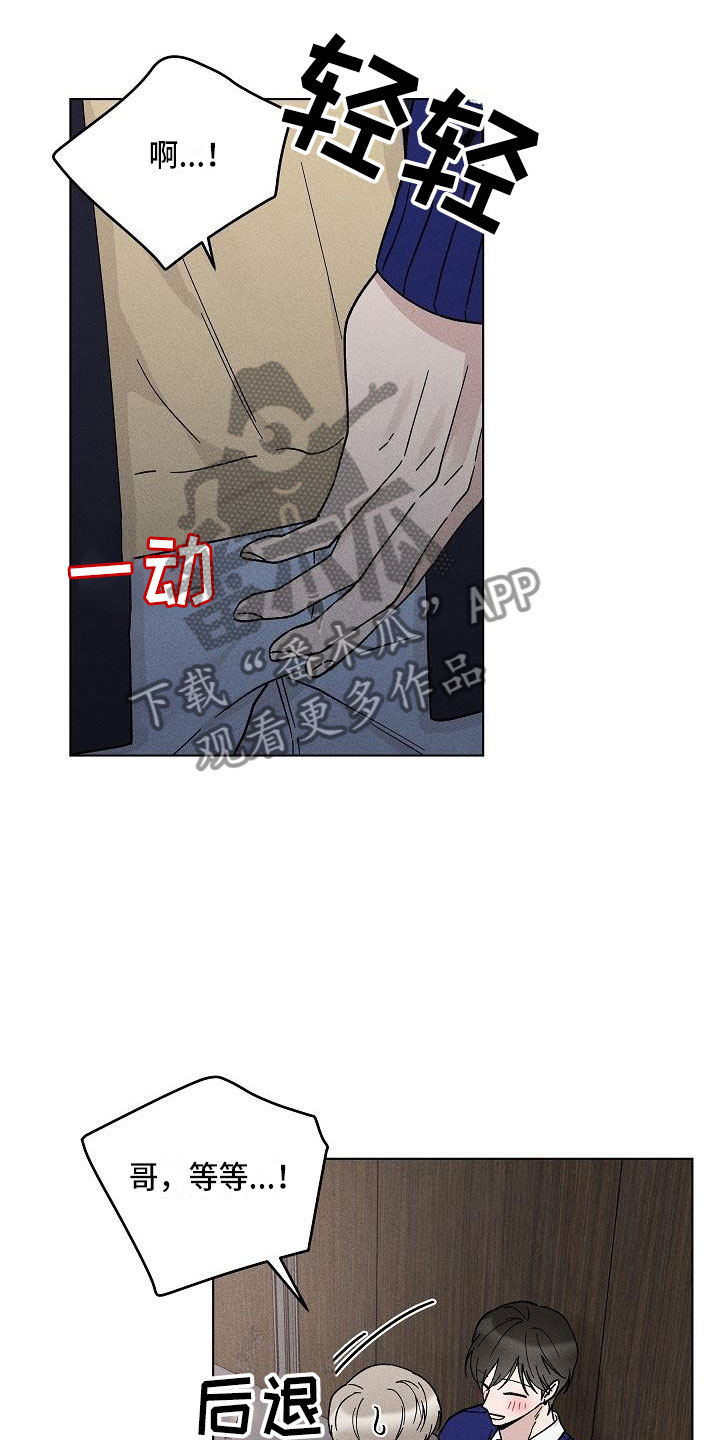 《偷心花园》第17章你偷走了我的心邀请 第13页