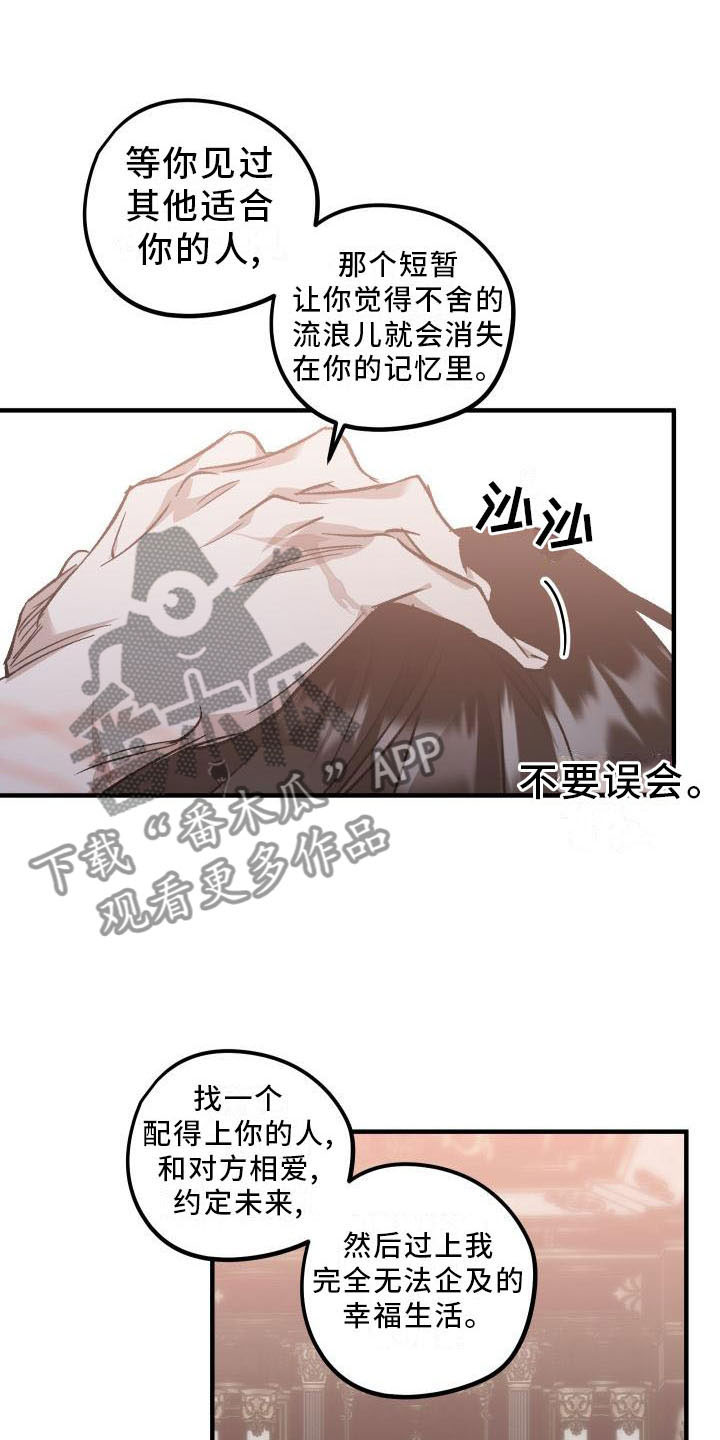 《偷心花园》第11章薰衣草花园挽留 第11页