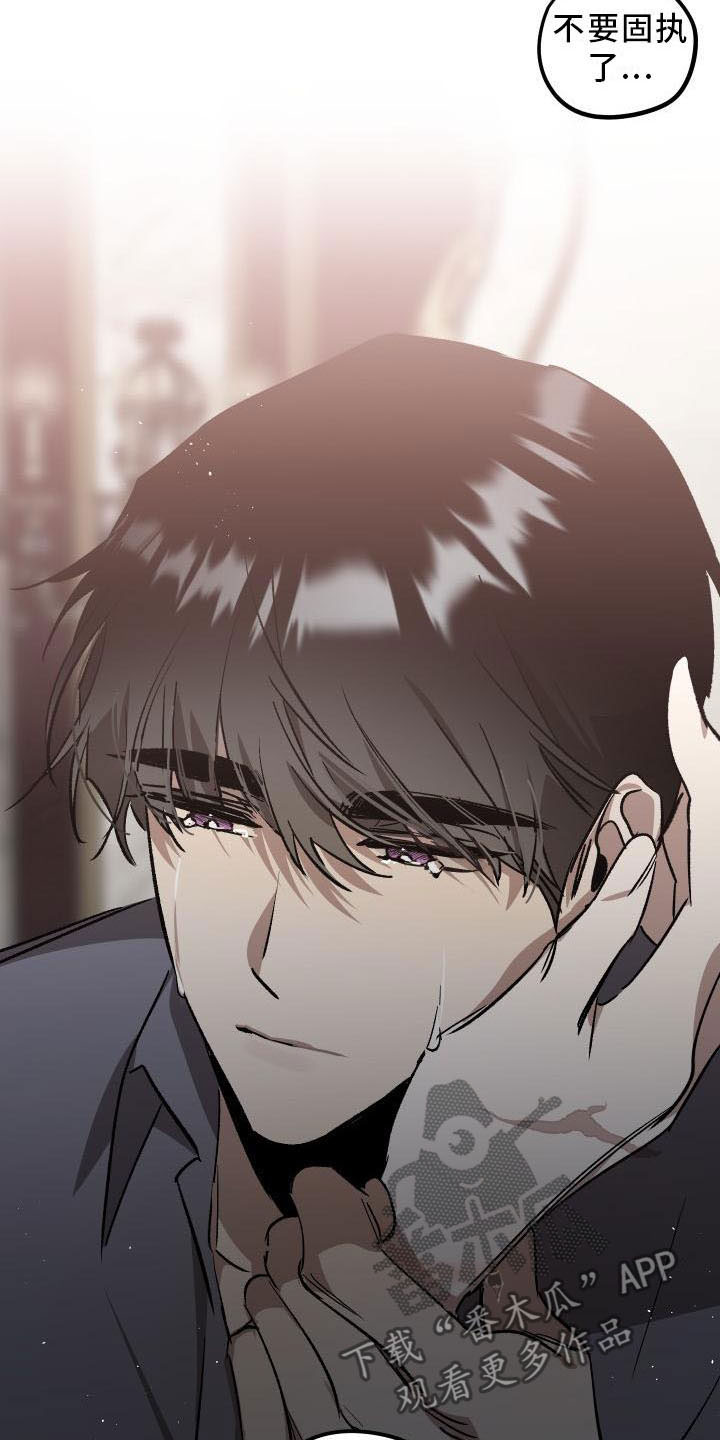 《偷心花园》第11章薰衣草花园挽留 第15页