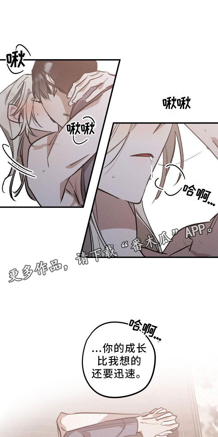 《偷心花园》第11章薰衣草花园挽留 第1页