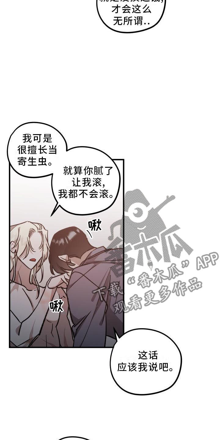 《偷心花园》第11章薰衣草花园挽留 第20页