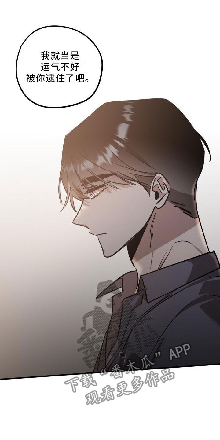 《偷心花园》第11章薰衣草花园挽留 第6页