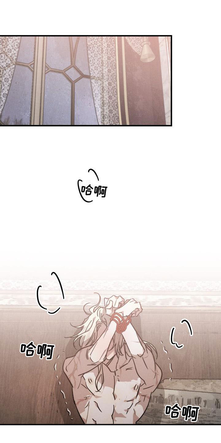 《偷心花园》第10章薰衣草花园出乎意料 第12页