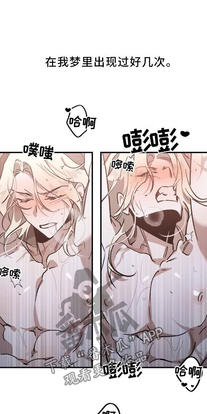 《偷心花园》第10章薰衣草花园出乎意料 第4页