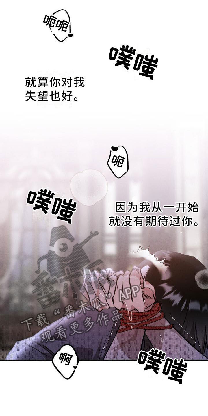 《偷心花园》第10章薰衣草花园出乎意料 第6页